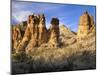 Pinnacles in Red Canyon, Big Bend National Park, Texas, USA-Scott T. Smith-Mounted Photographic Print