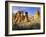 Pinnacles in Red Canyon, Big Bend National Park, Texas, USA-Scott T. Smith-Framed Photographic Print