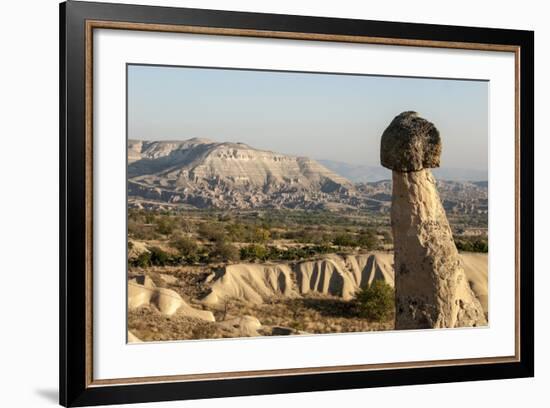 Pinnacles of Volcanic Ash, Urgup, Cappadocia, Anatolia, Turkey Minor, Eurasia-Tony Waltham-Framed Photographic Print