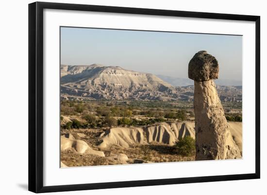 Pinnacles of Volcanic Ash, Urgup, Cappadocia, Anatolia, Turkey Minor, Eurasia-Tony Waltham-Framed Photographic Print