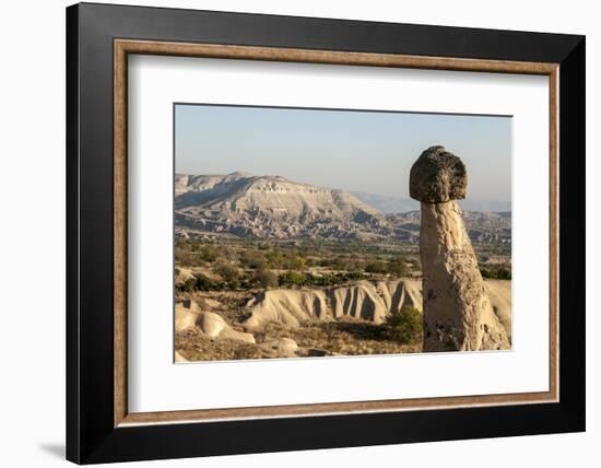 Pinnacles of Volcanic Ash, Urgup, Cappadocia, Anatolia, Turkey Minor, Eurasia-Tony Waltham-Framed Photographic Print