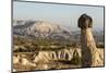 Pinnacles of Volcanic Ash, Urgup, Cappadocia, Anatolia, Turkey Minor, Eurasia-Tony Waltham-Mounted Photographic Print