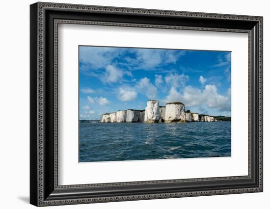 Pinnacles, Studland, Dorset, England, United Kingdom, Europe-Charles Bowman-Framed Photographic Print