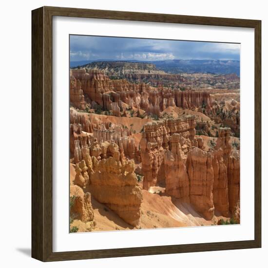 Pinnacles Viewed from Inspiration Point, in the Bryce Canyon National Park, Utah, USA-Tony Gervis-Framed Photographic Print