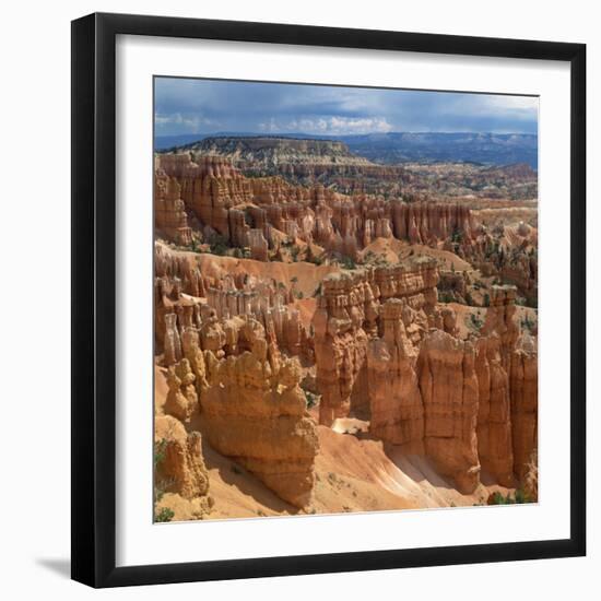 Pinnacles Viewed from Inspiration Point, in the Bryce Canyon National Park, Utah, USA-Tony Gervis-Framed Photographic Print