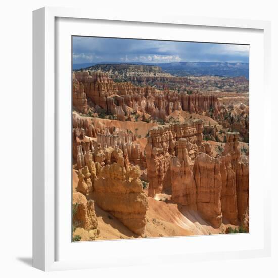 Pinnacles Viewed from Inspiration Point, in the Bryce Canyon National Park, Utah, USA-Tony Gervis-Framed Photographic Print