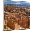 Pinnacles Viewed from Inspiration Point, in the Bryce Canyon National Park, Utah, USA-Tony Gervis-Mounted Photographic Print