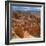 Pinnacles Viewed from Inspiration Point, in the Bryce Canyon National Park, Utah, USA-Tony Gervis-Framed Photographic Print