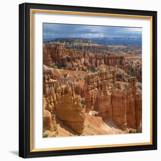 Pinnacles Viewed from Inspiration Point, in the Bryce Canyon National Park, Utah, USA-Tony Gervis-Framed Photographic Print