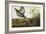 Pinnated Grouse. Greater Prairie Chicken-John James Audubon-Framed Giclee Print