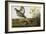 Pinnated Grouse. Greater Prairie Chicken-John James Audubon-Framed Giclee Print