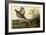 Pinnated Grouse-null-Framed Giclee Print