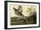 Pinnated Grouse-null-Framed Giclee Print