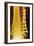 Pinned Ankle Fracture, Coloured X-ray-Miriam Maslo-Framed Photographic Print