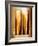 Pinned Broken Leg, X-rays-Miriam Maslo-Framed Photographic Print