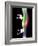 Pinned Broken Leg-Science Photo Library-Framed Photographic Print