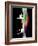 Pinned Broken Leg-Science Photo Library-Framed Photographic Print