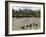 Pinnewala Elephant Orphanage Near Kegalle, Hill Country, Sri Lanka-Gavin Hellier-Framed Photographic Print