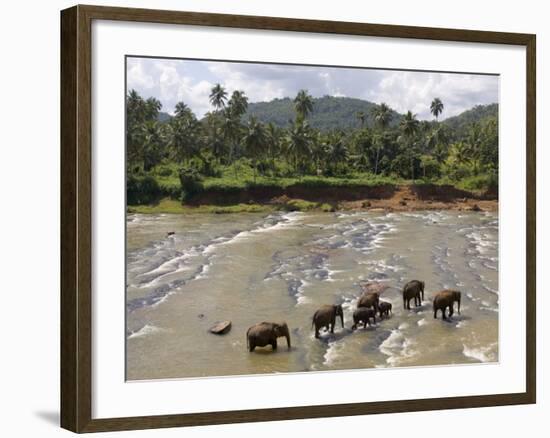 Pinnewala Elephant Orphanage Near Kegalle, Hill Country, Sri Lanka-Gavin Hellier-Framed Photographic Print