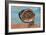 Pinon Nuts, an Important Food of Southwestern Native Americans, in a Pueblo Indian Pottery Bowl-null-Framed Giclee Print