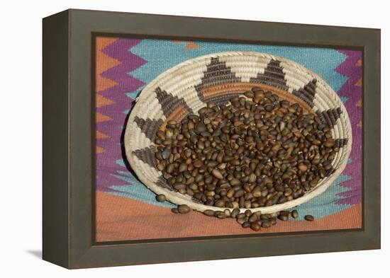 Pinon Nuts, an Important Food of Southwestern Native Americans, in an Indian Basket-null-Framed Premier Image Canvas