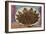 Pinon Nuts, an Important Food of Southwestern Native Americans, in an Indian Basket-null-Framed Giclee Print