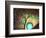 Pinpoint-Megan Aroon Duncanson-Framed Art Print