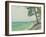 Pins au Pyla-Albert Marquet-Framed Giclee Print