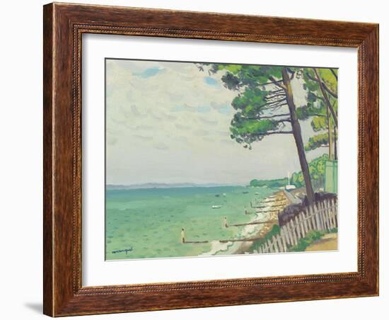 Pins au Pyla-Albert Marquet-Framed Giclee Print