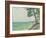 Pins au Pyla-Albert Marquet-Framed Giclee Print