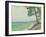 Pins au Pyla-Albert Marquet-Framed Giclee Print