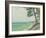 Pins au Pyla-Albert Marquet-Framed Giclee Print