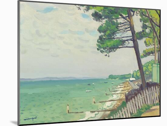 Pins au Pyla-Albert Marquet-Mounted Giclee Print