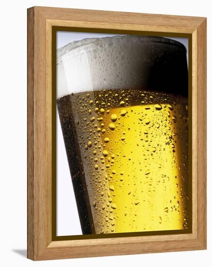 Pint of Cold Lager Beer with Foam Head-Steve Lupton-Framed Premier Image Canvas