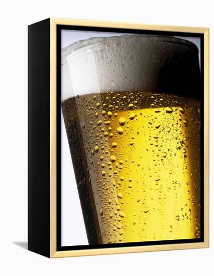 Pint of Cold Lager Beer with Foam Head-Steve Lupton-Framed Premier Image Canvas