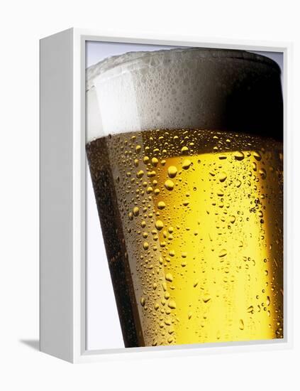 Pint of Cold Lager Beer with Foam Head-Steve Lupton-Framed Premier Image Canvas