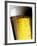 Pint of Cold Lager Beer with Foam Head-Steve Lupton-Framed Photographic Print