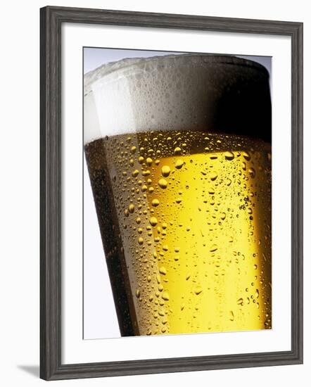 Pint of Cold Lager Beer with Foam Head-Steve Lupton-Framed Photographic Print