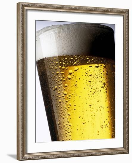 Pint of Cold Lager Beer with Foam Head-Steve Lupton-Framed Photographic Print