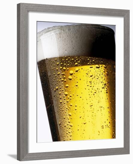 Pint of Cold Lager Beer with Foam Head-Steve Lupton-Framed Photographic Print