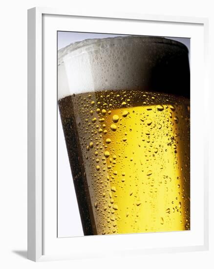Pint of Cold Lager Beer with Foam Head-Steve Lupton-Framed Photographic Print