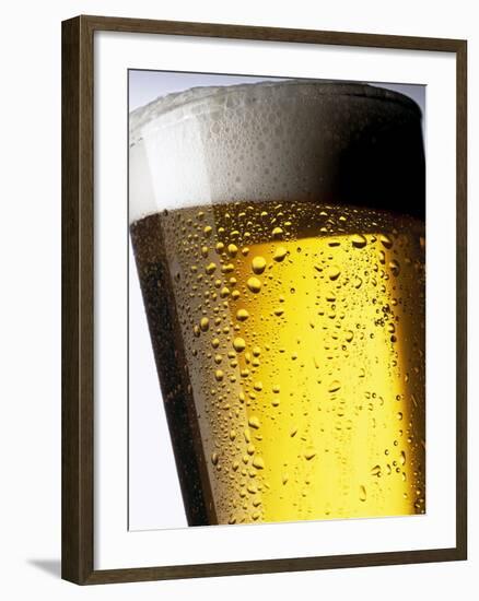 Pint of Cold Lager Beer with Foam Head-Steve Lupton-Framed Photographic Print