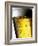 Pint of Cold Lager Beer with Foam Head-Steve Lupton-Framed Photographic Print