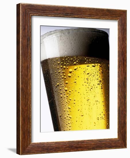 Pint of Cold Lager Beer with Foam Head-Steve Lupton-Framed Photographic Print