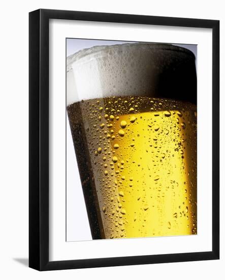 Pint of Cold Lager Beer with Foam Head-Steve Lupton-Framed Photographic Print