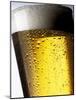 Pint of Cold Lager Beer with Foam Head-Steve Lupton-Mounted Photographic Print