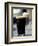 Pint of Stout, Ireland-Dave Bartruff-Framed Photographic Print