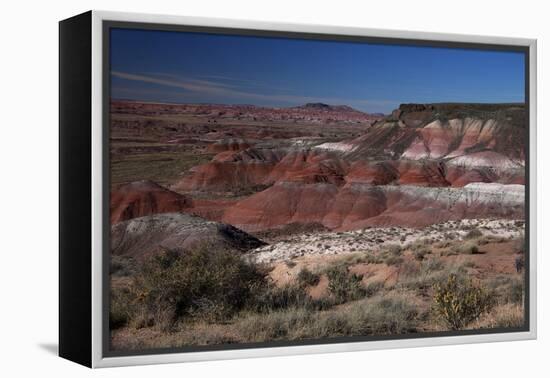 Pintado Point at Painted Desert, Part of the Petrified Forest National Park-Kymri Wilt-Framed Premier Image Canvas