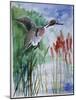 Pintail Duck-Sir Roy Calne-Mounted Giclee Print