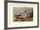 Pintail Ducks-Allan Brooks-Framed Art Print